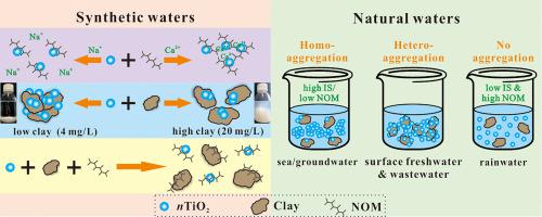 Impact Of Montmorillonite Clay On The Homo And Heteroaggregation Of Titanium Dioxide Nanoparticles Ntio2 In Synthetic And Natural Waters Science Of The Total Environment X Mol