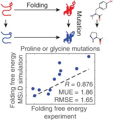 用炼金术自由能计算将脯氨酸和甘氨酸突变为蛋白质的策略 Journal Of Computational Chemistry X Mol