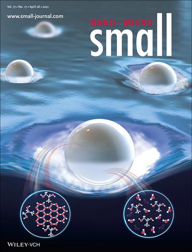 Janus Particles Janus Vitrification Of Droplet Via Cold Leidenfrost Phenomenon Small 17 2021