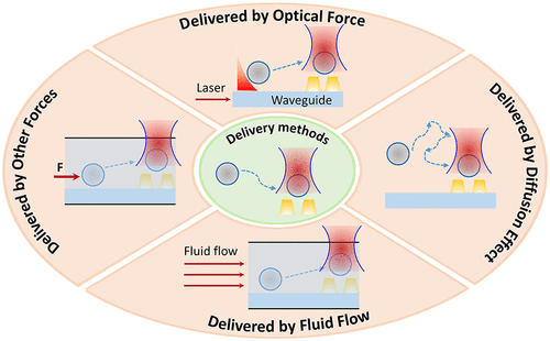 Nano Optical Tweezers For Free Solution Label Free Studies Of Single