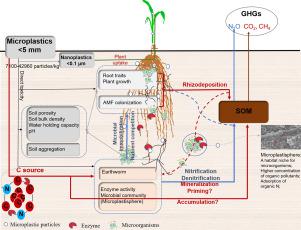 Microplastics As An Emerging Threat To Plant And Soil Health In ...