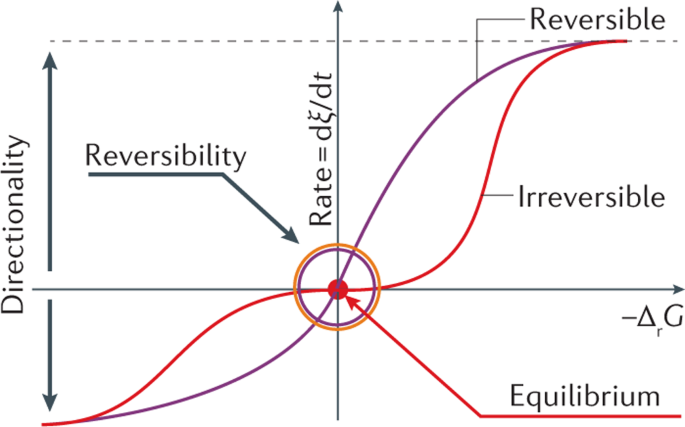 reversible-catalysis-nature-reviews-chemistry-x-mol