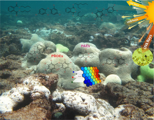 邻苯二甲酸盐和阻燃燃烧副产物与珊瑚的日光漂白的生态毒理学联系 Environmental Science Technology X Mol