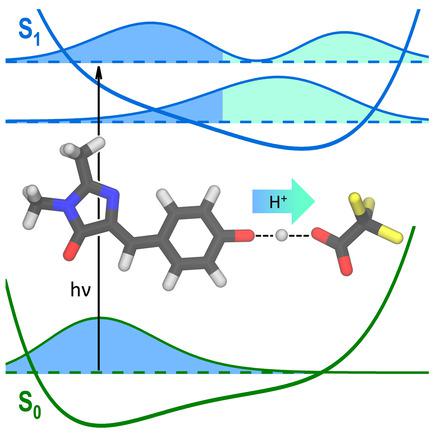 Controlling Light Induced Proton Transfer From The Gfp Chromophore Chemphyschem X Mol