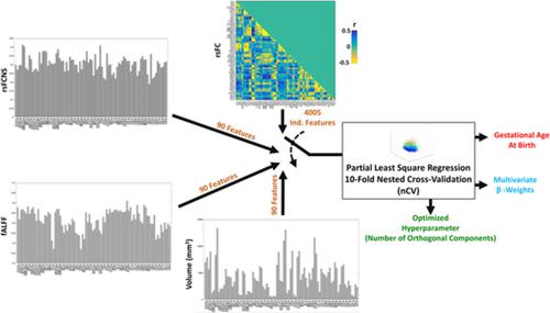 Distinct Effects Of Prematurity On Mri Metrics Of Brain Functional Connectivity Activity And Structure Univariate And Multivariate Analyses Human Brain Mapping X Mol