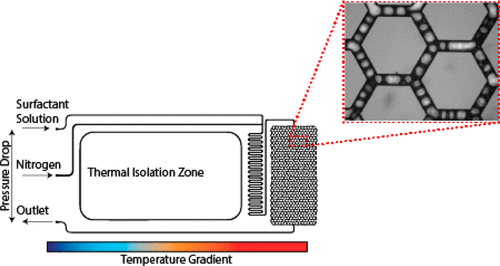 Screening High-Temperature Foams with Microfluidics for Thermal ...