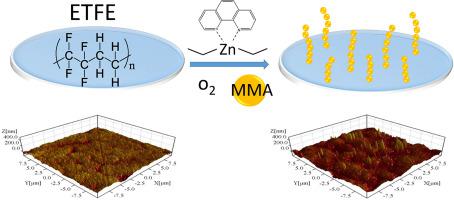 Surface Functionalization Of Ethylene Tetrafluoroethylene Copolymer Film With Poly Methyl Methacrylate Via Chemical Radical Polymerization Polymer X Mol