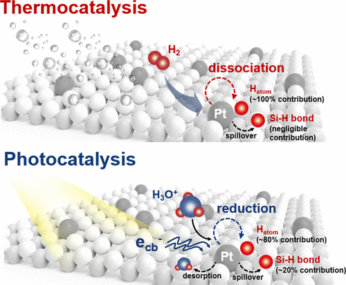 Conflicting Roles of Coordination Number on Catalytic Performance