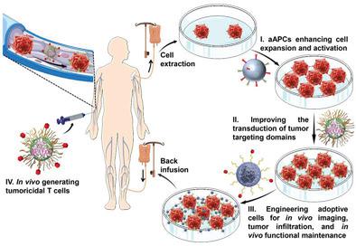 Engineering Nano‐Therapeutics To Boost Adoptive Cell Therapy For Cancer ...