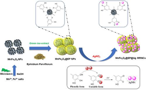 In Situ Green Synthesis Of Mnfe2o4 Ep Ag Nanocomposites Using Epilobium Parviflorum Green Tea Extract An Efficient Magnetically Recyclable Catalyst For The Reduction Of Hazardous Organic Dyes Applied Organometallic Chemistry X Mol