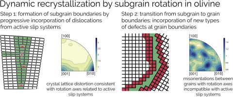 电子背散射衍射显示橄榄石中亚晶粒旋转引起的动态重结晶 Tectonophysics X Mol