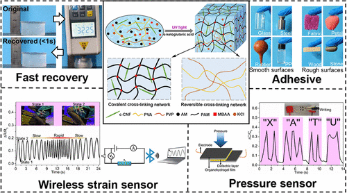 self-recoverable-stretchable-and-sensitive-wearable-sensors-based-on