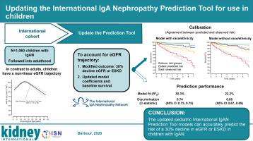 Updating The International Iga Nephropathy Prediction Tool For Use In Children Kidney International X Mol