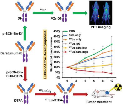 CD38-Targeted Theranostics Of Lymphoma With 89Zr/177Lu-Labeled ...