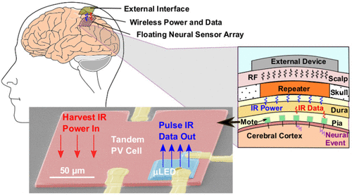 Bridging the “Last Millimeter” Gap of Brain-Machine Interfaces via 