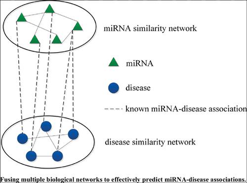 Fusing Multiple Biological Networks To Effectively Predict MiRNA ...