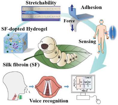 Highly Stretchable, Adhesive, And Self-Healing Silk Fibroin-Dopted ...