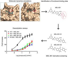 Mechanism Of Allosteric Activation Of SIRT6 Revealed By The Action Of ...