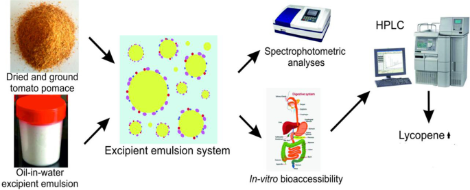 Increasing The Bioaccessibility Of Antioxidants In Tomato Pomace Using ...