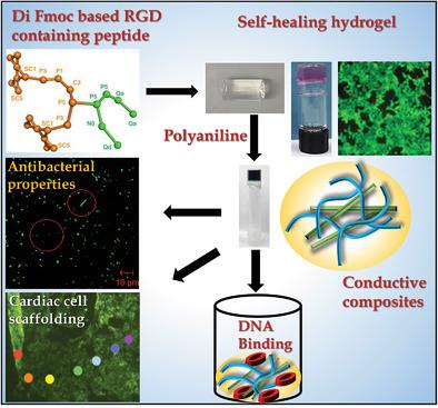 Nanoengineered Peptide-Based Antimicrobial Conductive Supramolecular ...