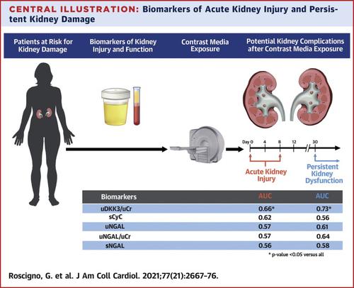 Urinary Dickkopf-3 and Contrast-Associated Kidney Damage,Journal of the ...