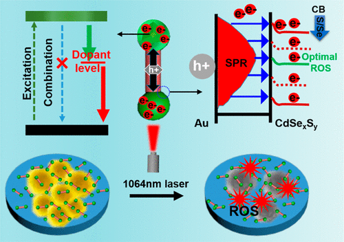 Hybrid Plasmonic Nanodumbbells Engineering For Multi-Intensified Second ...