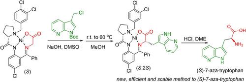 Asymmetric Synthesis Of N Fmoc S 7 Aza Tryptophan Via Alkylation Of Chiral Nucleophilic Glycine Equivalent European Journal Of Organic Chemistry X Mol