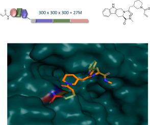 Novel Irreversible Covalent BTK Inhibitors Discovered Using DNA-encoded ...