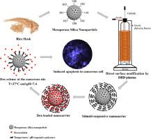 Direct Surface Modification Of Mesoporous Silica Nanoparticles By Dbd Plasma As A Green Approach To Prepare Dual Responsive Drug Delivery System Journal Of The Taiwan Institute Of Chemical Engineers X Mol