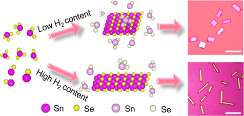 Modulated Anisotropic Growth Of 2D SnSe Based On The Difference In A/b ...