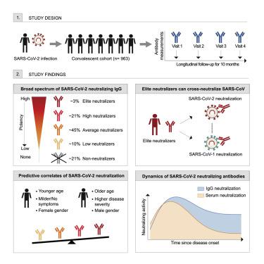 人类对sars Cov 2 感染的中和抗体反应的动力学和相关性 Cell Host Microbe X Mol