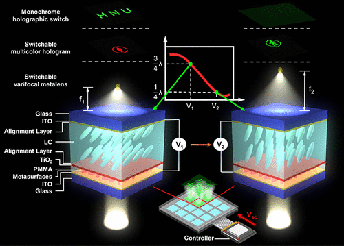 Electrically Tunable Multifunctional Polarization-Dependent ...