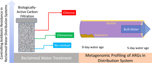 生物活性炭过滤和氯基消毒在减少水再利用分配系统中抗生素抗性基因传播方面的相互作用 Environmental Science Technology X Mol