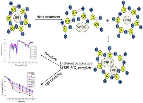 Effect Of Temperature Of Preheated Soy Protein Isolate On The Structure And Properties Of Soy Protein Isolate Heated Vitamin D3 Complex Journal Of Food Biochemistry X Mol