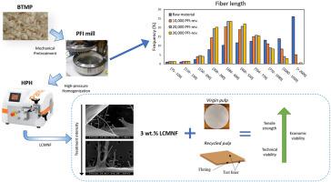 Chemical-free production of lignocellulosic micro- and nanofibers