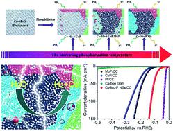 Engineering Multinary Heterointerfaces In Two-dimensional Cobalt ...