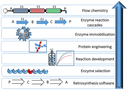 Streamlining Design, Engineering, And Applications Of Enzymes For ...