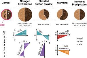 Soil Organic Carbon Response To Global Environmental Change Depends On ...