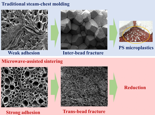 Enhanced Interfacial Adhesion of Polystyrene Bead Foams by Microwave ...