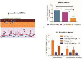 Design And Dermatokinetic Evaluation Of Apremilast Loaded ...