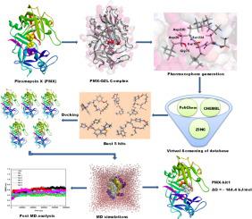 Inhibitors Of Plasmepsin X Plasmodium Falciparum: Structure-based 