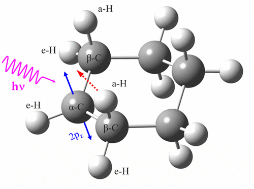 环己基自由基的紫外光解动力学 氢原子产物通道 The Journal Of Physical Chemistry A X Mol