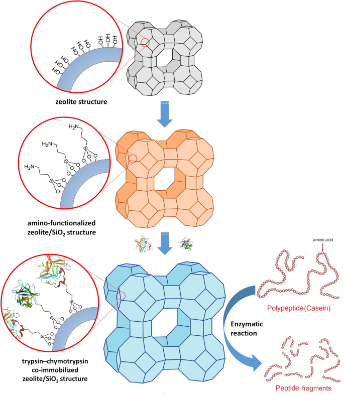 Preparation And Characterization Of Amino-Functionalized Zeolite/SiO2 ...