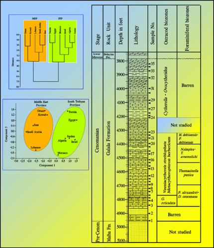 来自埃及苏伊士湾bb 80 1 井的早 中cenomanian 有孔虫和介形虫 生物地层学 古生态学和古生物地理意义 Geological Journal X Mol