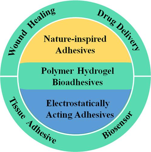 Recent Progress In Polymer Hydrogel Bioadhesives,Journal Of Polymer ...