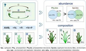 藻类迁移和营养丰富有助于浮游植物 Em 与 Em 附生植物群落的模式 Science Of The Total Environment X Mol