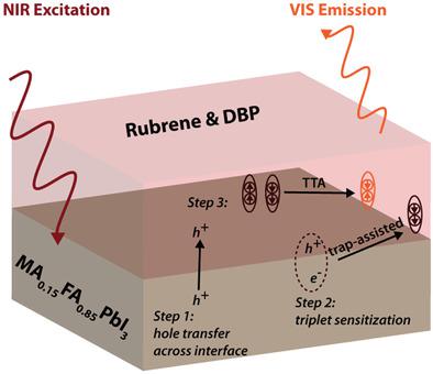 Interfacial Trap-Assisted Triplet Generation In Lead Halide Perovskite ...