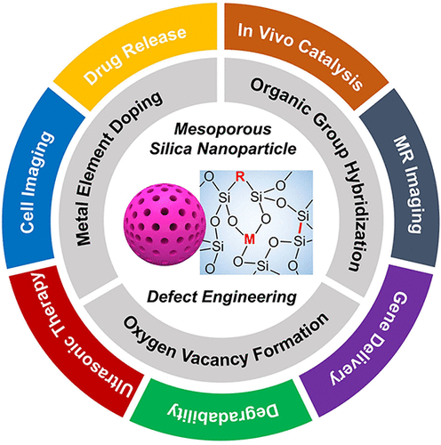 Defect Engineering Of Mesoporous Silica Nanoparticles For Biomedical ...