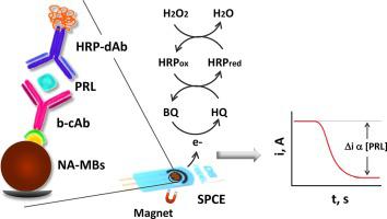 Electrochemical Immunosensor For The Determination Of Prolactin In Saliva And Breast Milk Microchemical Journal X Mol