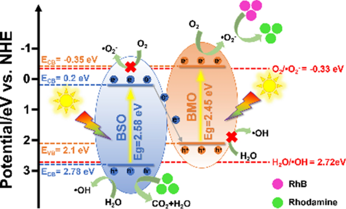 Z-scheme Bi2MoO6 Nanoplate-decorated Flower-like Bi12SiO20 For ...